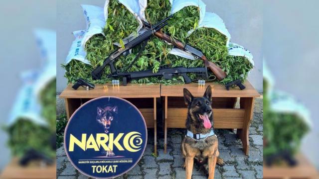 Tokat merkezli 6 ilde uyuşturucu operasyonu: 13 tutuklama