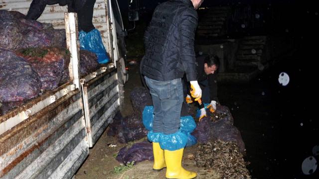 Yalovada 8 ton midye ele geçirildi