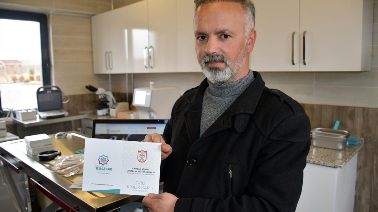 Çipli kimlik kartı kullanılıyor