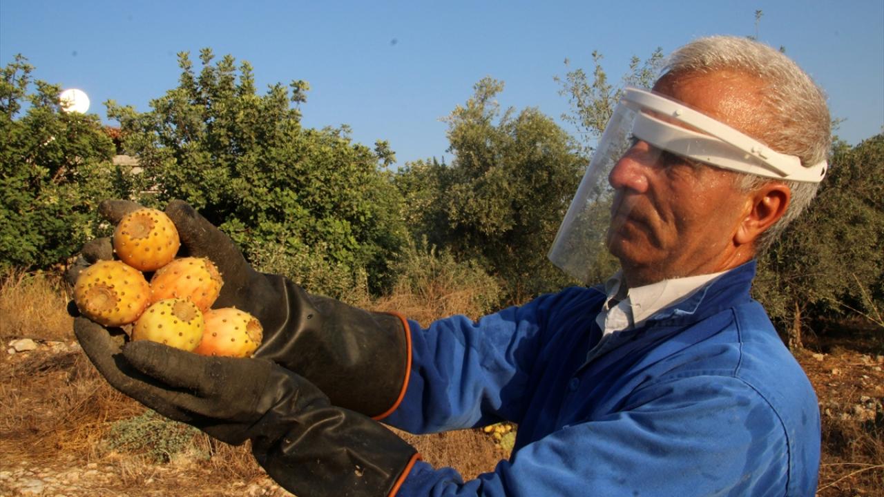 "Yurt dışından talepler hızla artmakta"