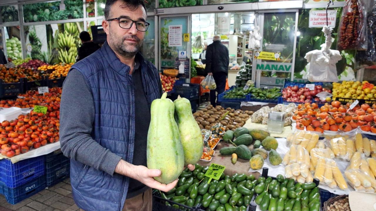 "Tropikal ürünleri yetiştirmek konusunda bir sıkıntımız yok"