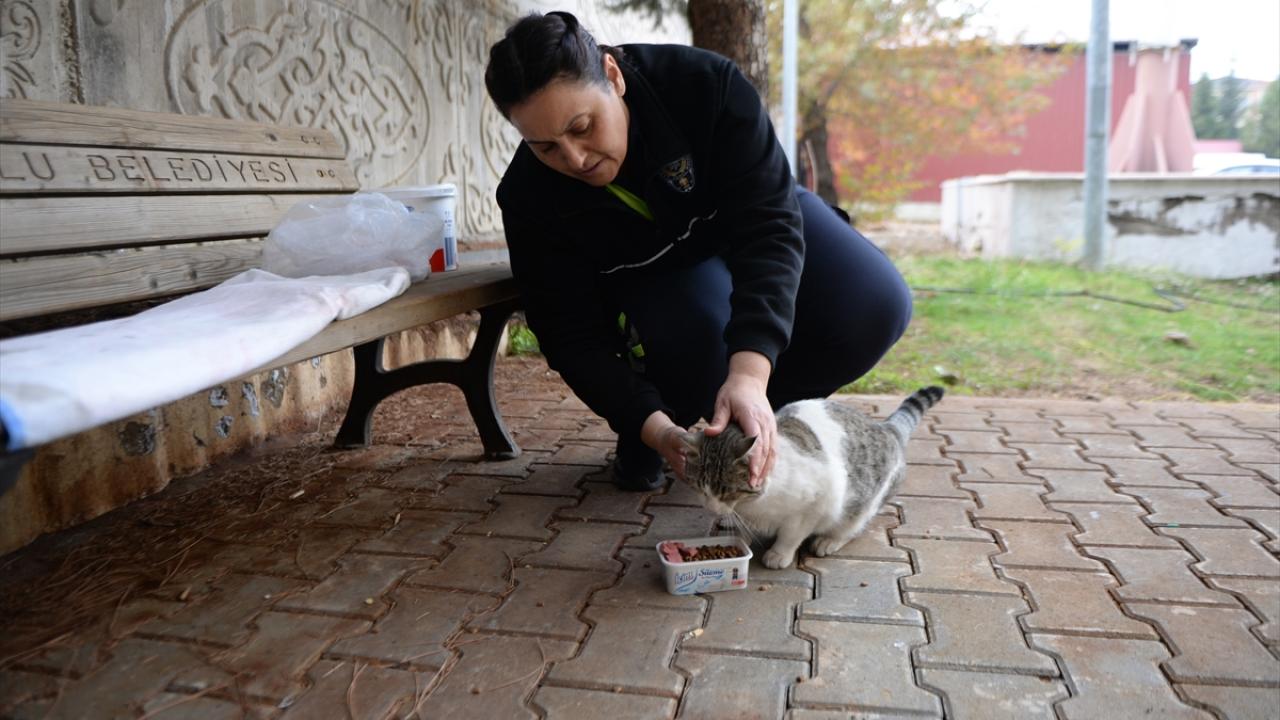 "Kediler ince noktam, kırmızı çizgim"