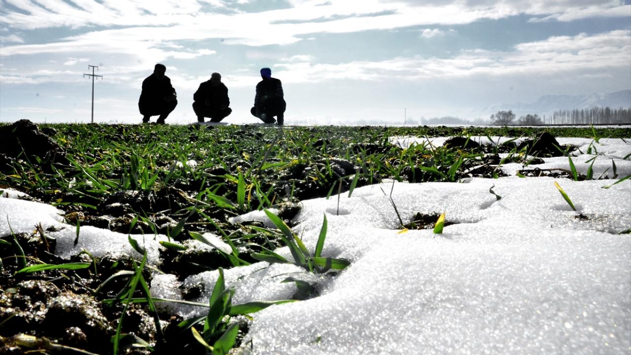 "Önemli verim artışlarının yaşanacağını tahmin ediyoruz"