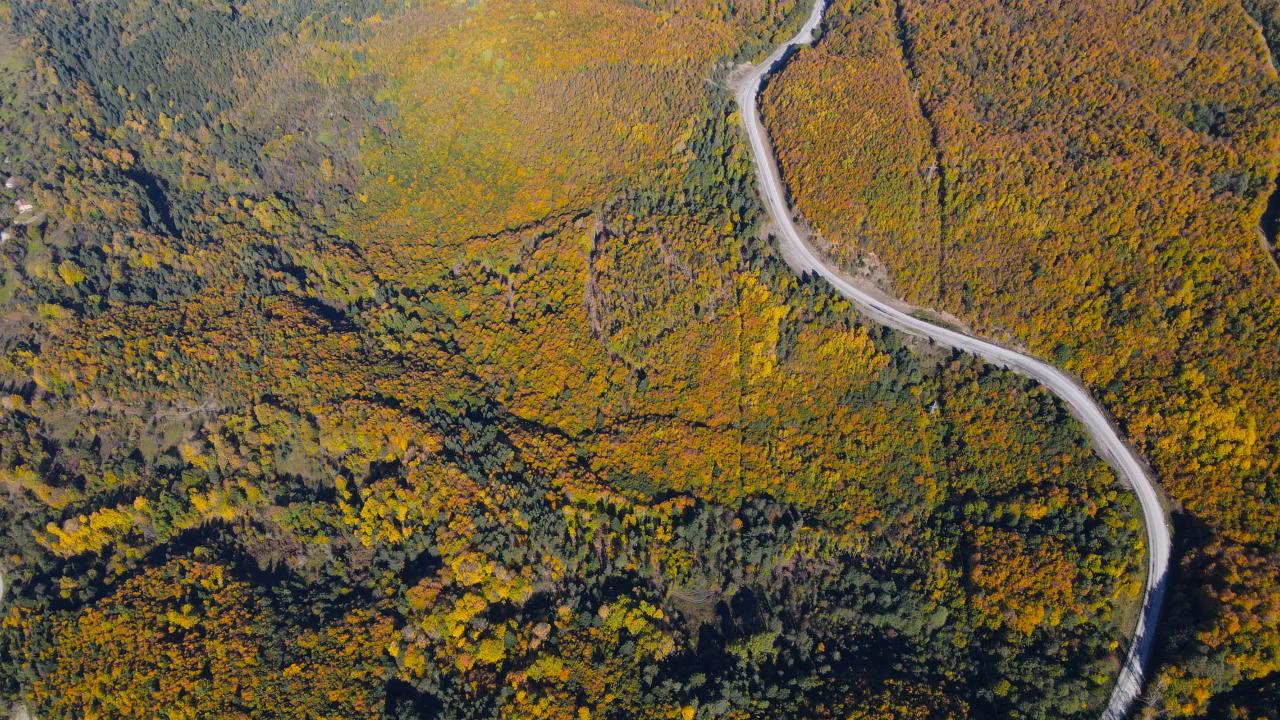“Küre Dağları`nın uluslararası markaya dönüştürülmesi amaçlanıyor”