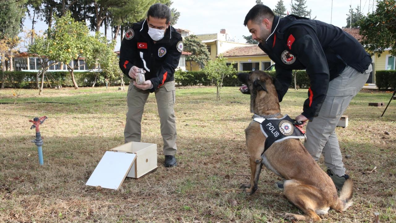 "Rüzgar benim yoldaşım, arkadaşım"
