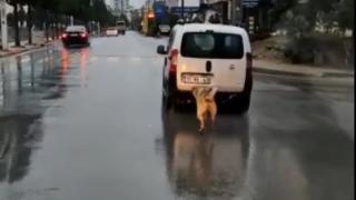 Köpeği aracına bağlayıp kilometrelerce koşturdu