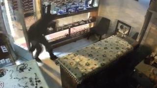 Fatih'teki kuyumcu soygunu kamerada