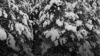 Kütahya'dan kartpostallık görüntüler