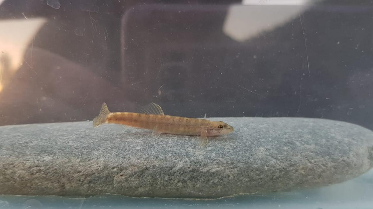 "Gerçekten çok mutluluk verici bir andı"