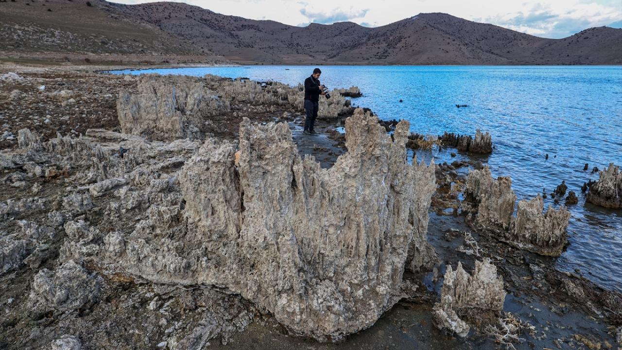 "Boyları 40 metreyi geçmiş durumda"