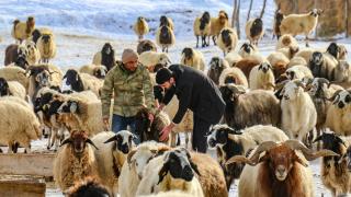 Devlet desteği alan eski hükümlüler kendi işini kuruyor