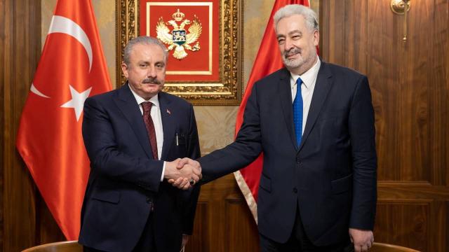 TBMM Başkanı Şentop, Karadağ Başbakanı Krivokapiç ile görüştü