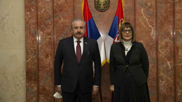 TBMM Başkanı Şentop, Sırbistan Kültür ve Enformasyon Bakanı Gojkovic ile görüştü