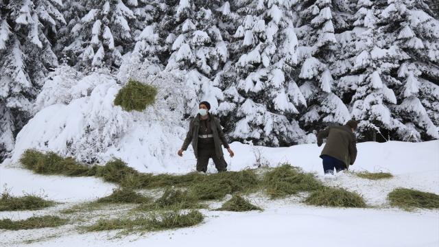 Çankırıda doğaya yem bırakıldı