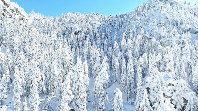 Erzurum, Ardahan ve Karsta soğuk hava etkisini sürdürüyor