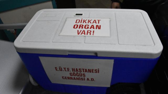 Beyin ölümü gerçekleşen kişinin organları 5 hastaya umut oldu