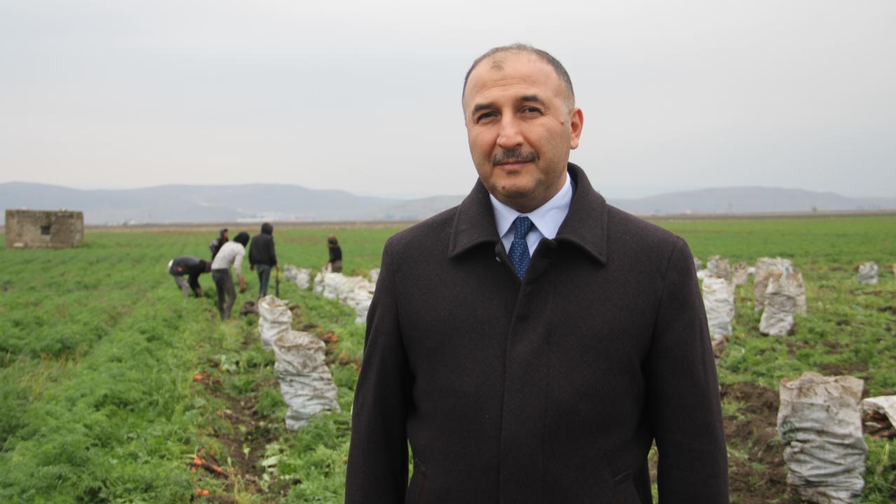 ``60 bin tonun üzerinde bir rekolte bekleniyor``