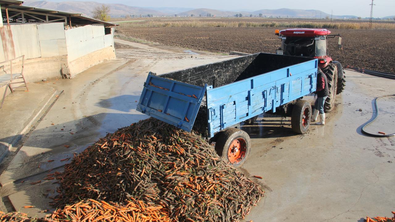 Hedef dönüme 7 ton hasat