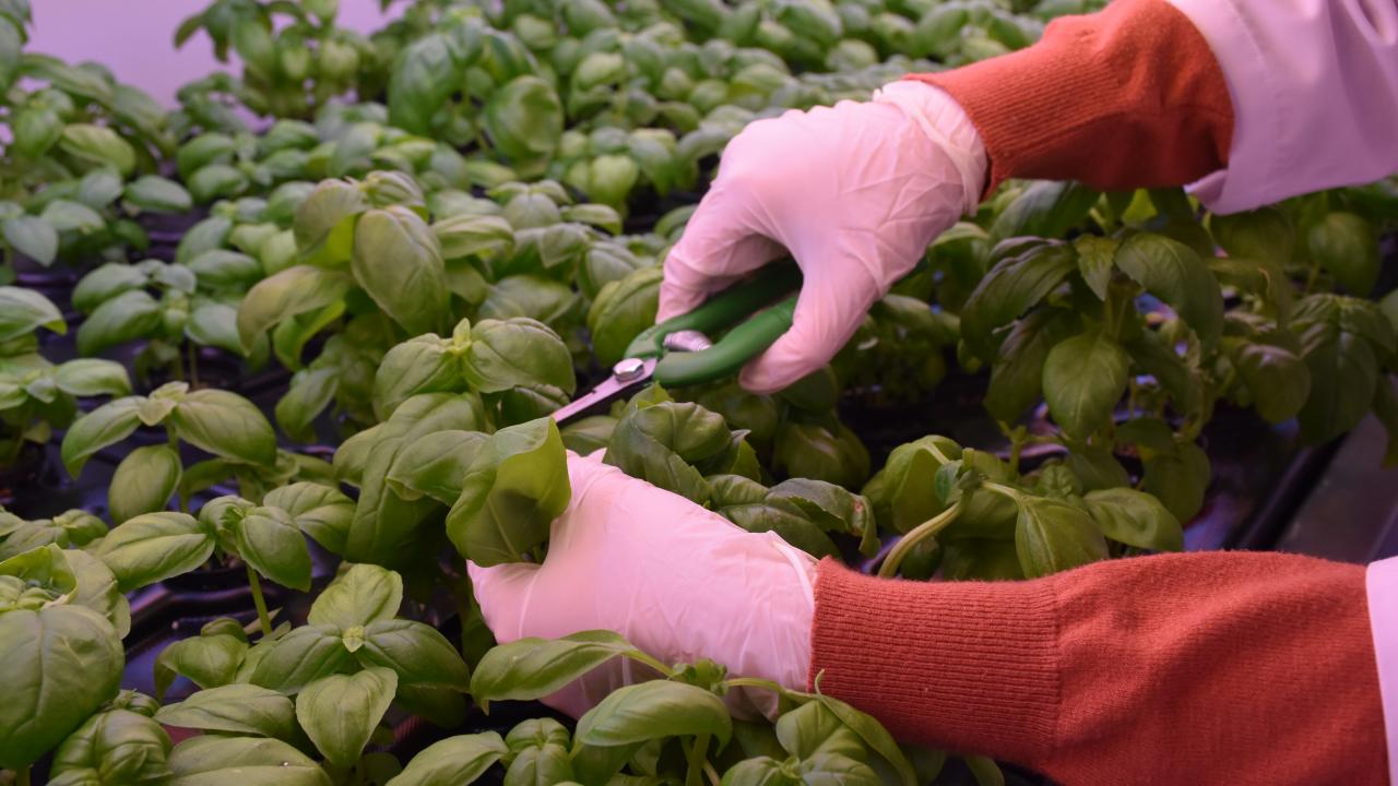 Enerjisi güneş panellerinden