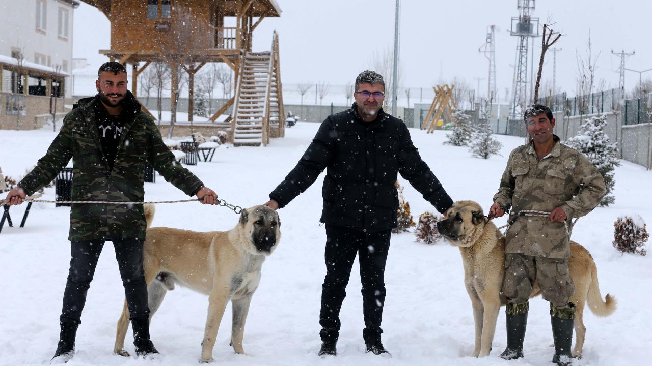 ``Karı ve zorlu kış şartlarını seviyor``