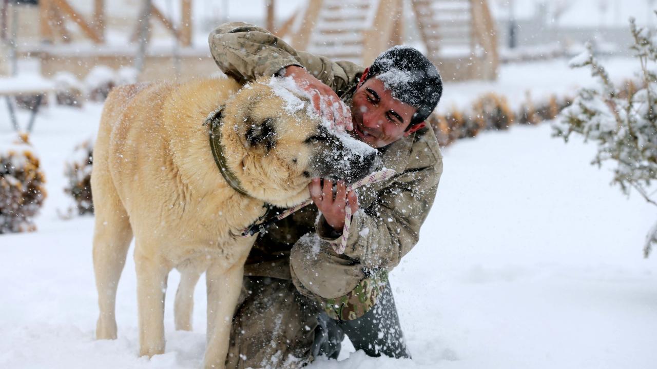 ``-30 dereceye dayanabiliyorlar``