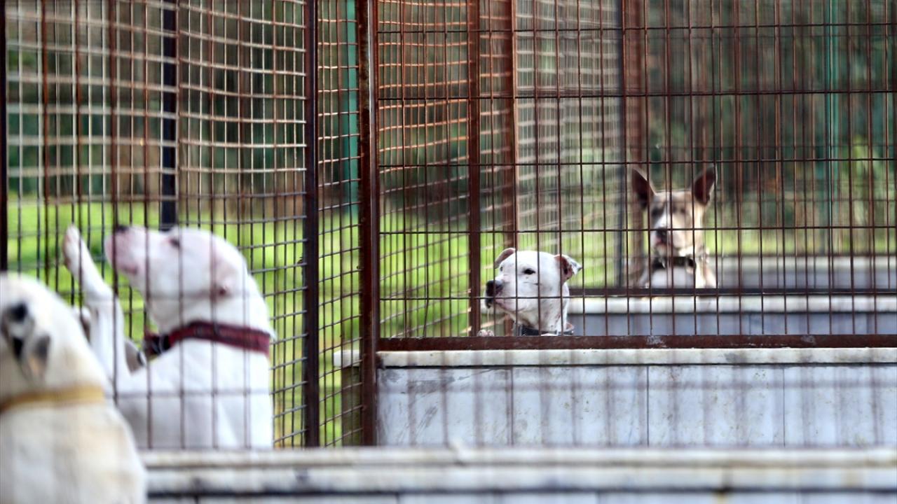 “Bir zaman sonra bakmak istemiyorlar”
