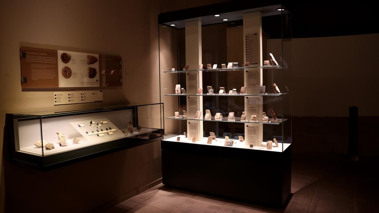 "İnsanlığımızın hizmetine sunmuş olacağız"