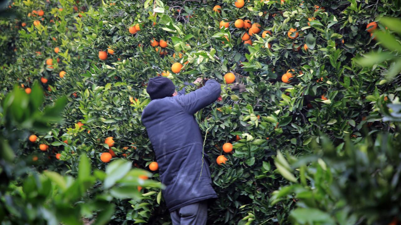 ``Yüzde 30 artış bekliyoruz``