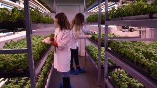 Amerika'da gördüğü dikey tarım sistemini Trabzon'da uyguluyor