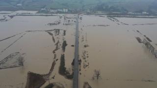 Ergene Nehri taştı: Tarım arazileri su altında kaldı