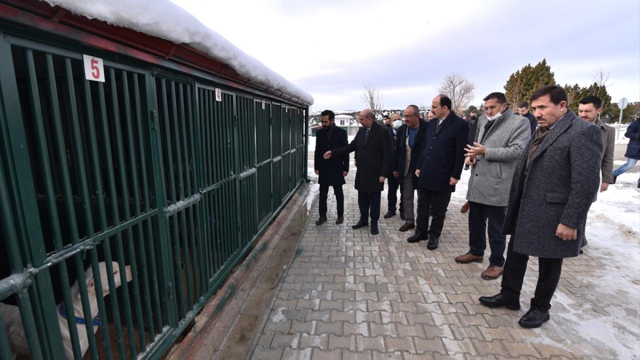 Merkez, 100 bin metrekare alana kurulu