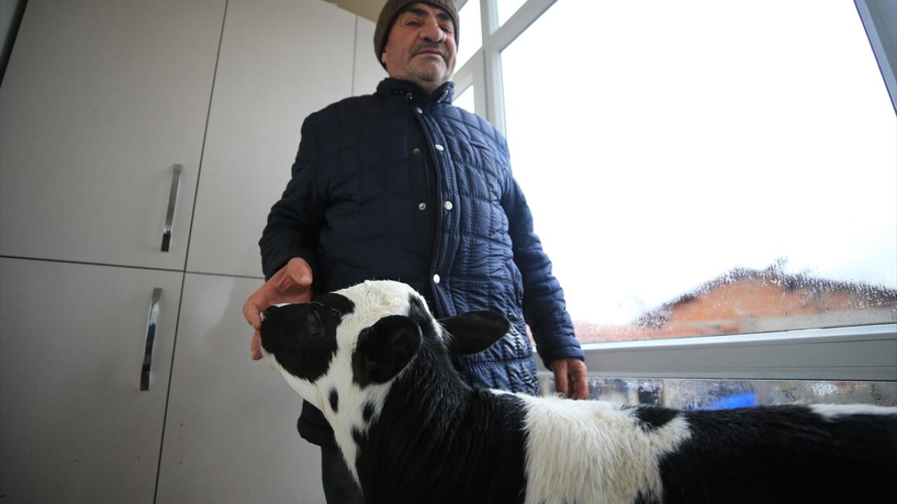 “Hayvanlara bir şey olacak diye çok korktuk"