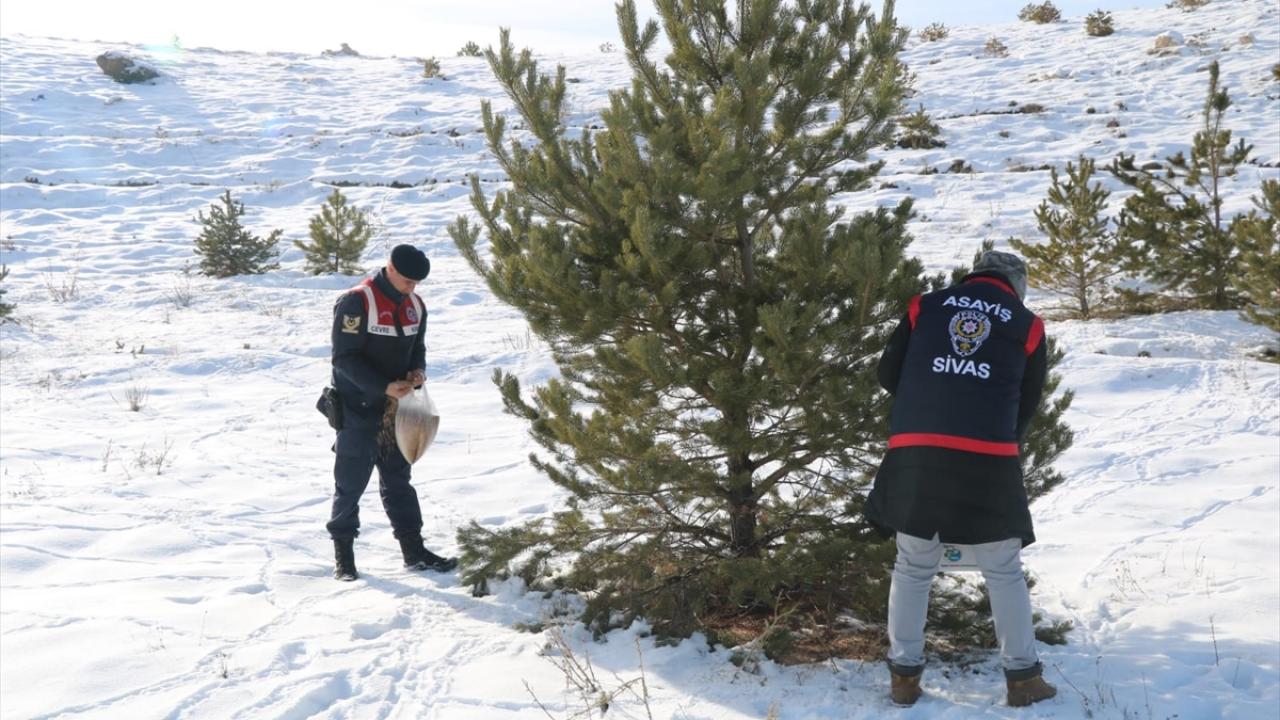 Kanatlı hayvanlar unutulmadı