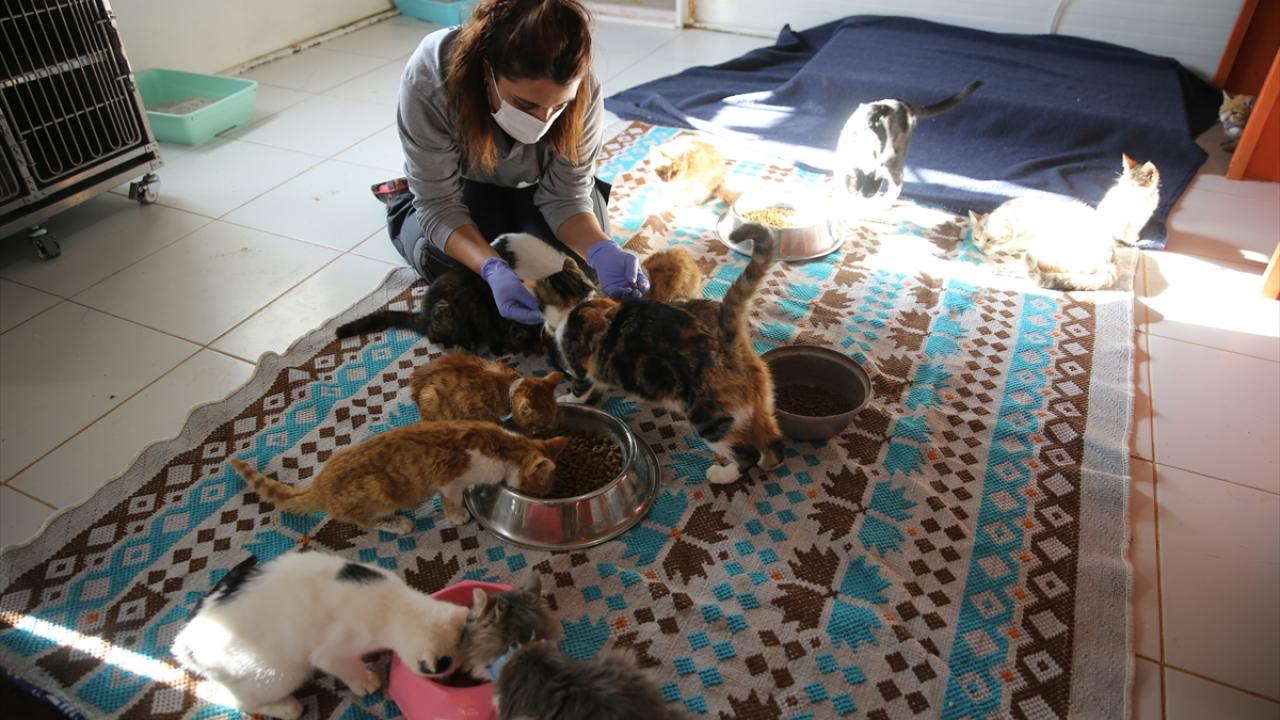 "5 yıldızlı otel konumuna getirmek istiyoruz"