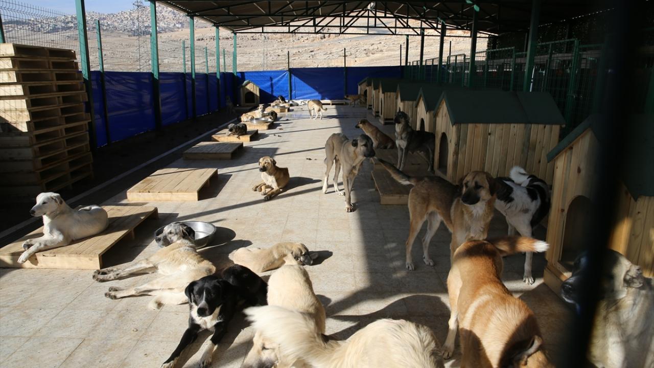 Her türlü vaka için ekipler hazır bekliyor