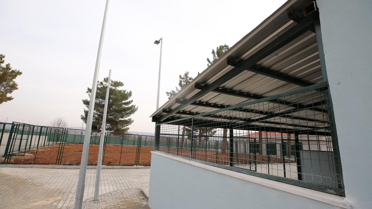 Türkiye`nin en modern ve kapsamlı barınağında sona yaklaştıklarını ifade eden Şahin şunları kaydetti: