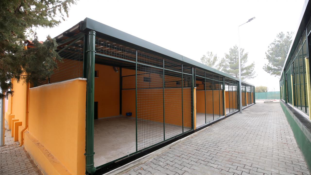 Hayvanlara en iyi hizmeti vermek için çaba gösterdiklerini aktaran Özsöyler şöyle devam etti: