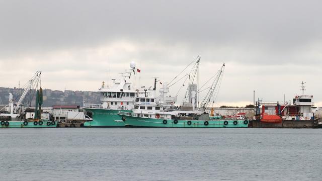 Balıkçılar umudunu Balkanlardan gelecek soğuk havaya bağladı