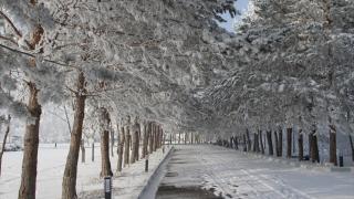 Malazgirt’te kar ve kırağı manzaraları