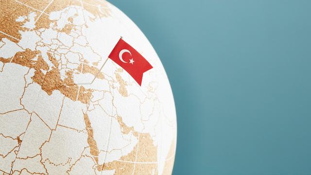 2022de Türk dış politikasında hangi başlıklar ön planda olacak?