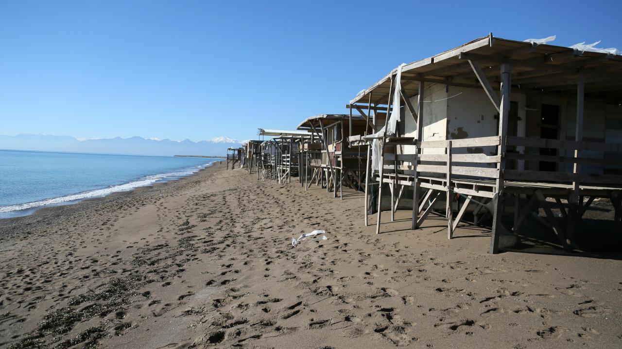 Yumurtalara insan baskısı