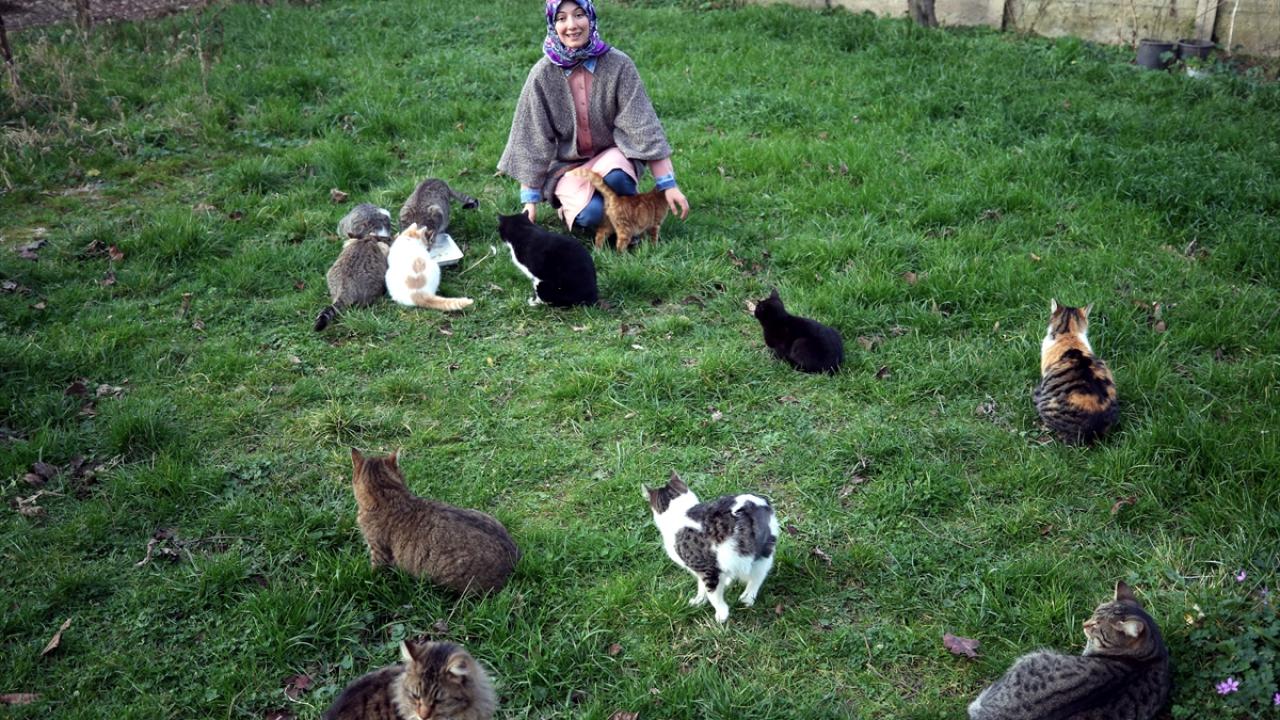"Bu hayvanlara müdahale etmek, bütün insanların vicdani yükümlülüğü"
