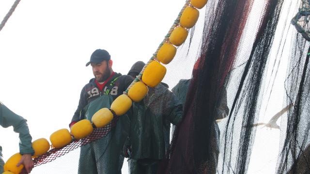 Marmaradan ve Karadenizden istediğini alamayan Tekirdağlı balıkçılar paydos etti