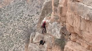 Kayalıklarda mahsur kalan keçi kurtarıldı