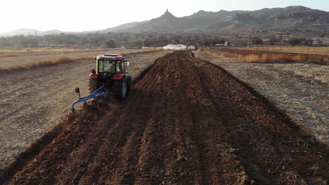 "Şu anda ırmakta canlı olayı yok"