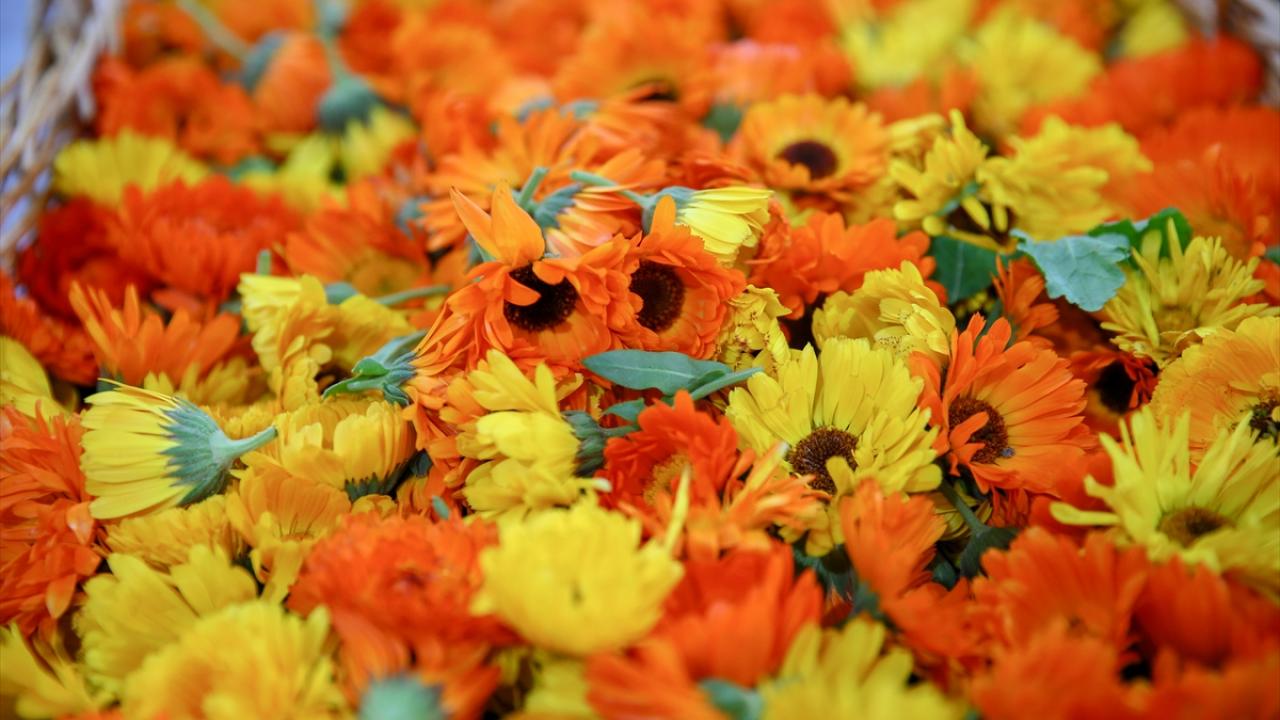 "Yurt içinde de internet üzerinden satışlarımız var"