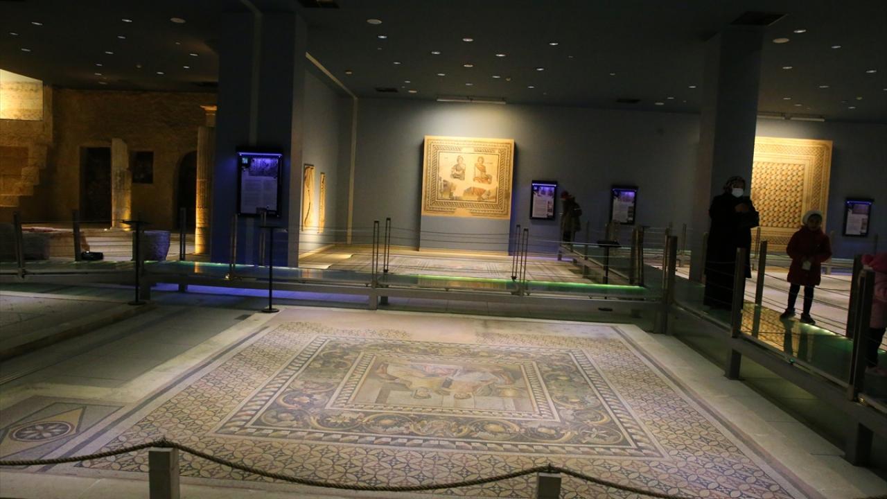 Müze Müdürü Çomak, 2022`den umutlu