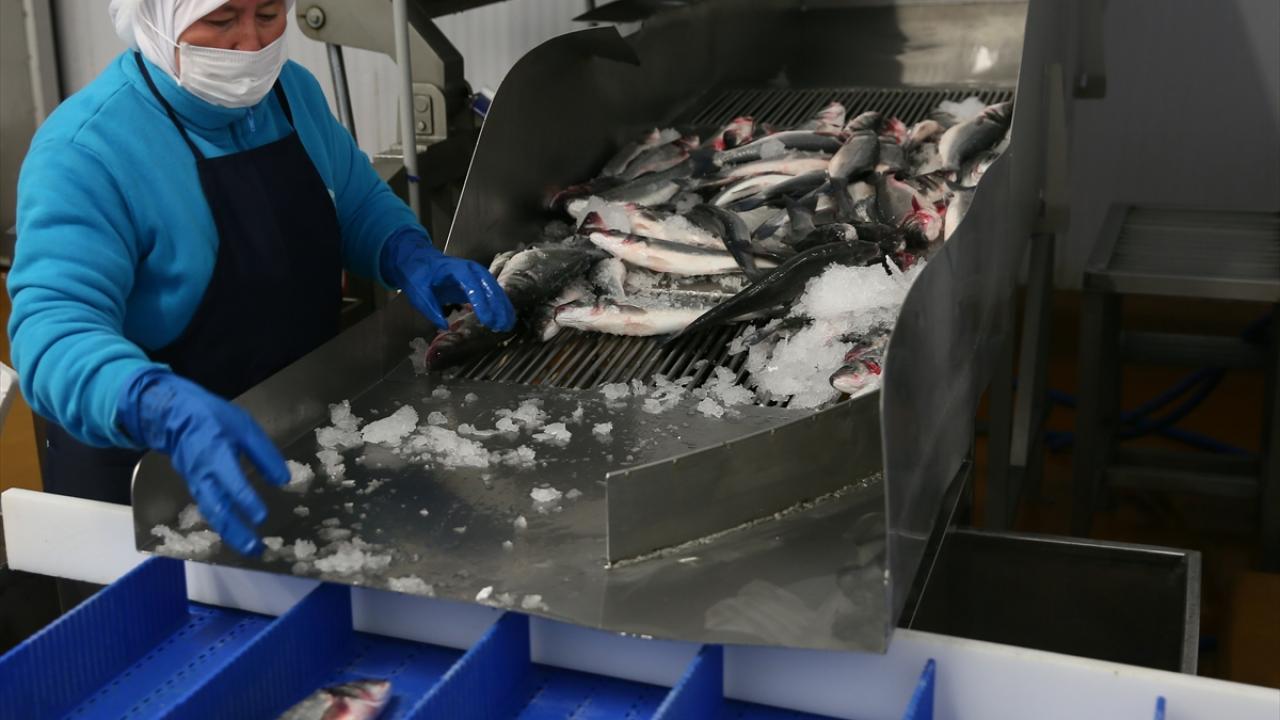 İhracatta Rusya ilk sırada