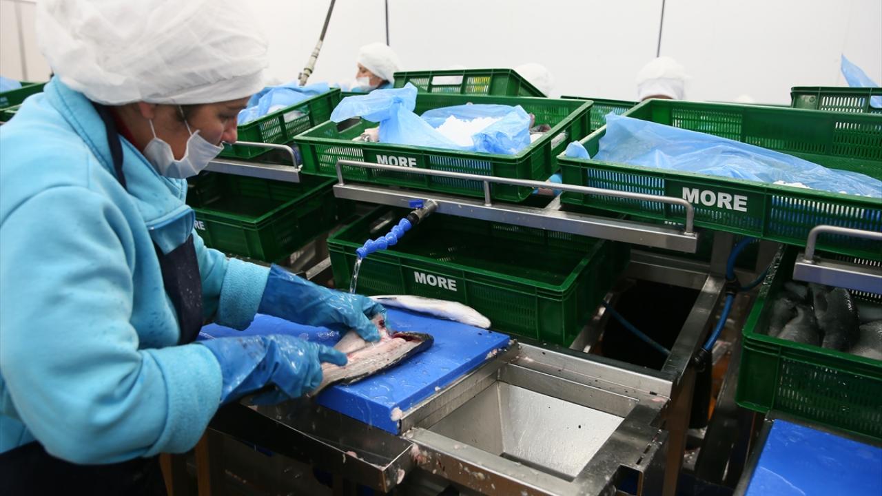 2022 hedefi 1 milyar 750 milyon dolar