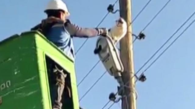 Bingölde 9 metrelik elektrik direğinde mahsur kalan kedi kurtarıldı